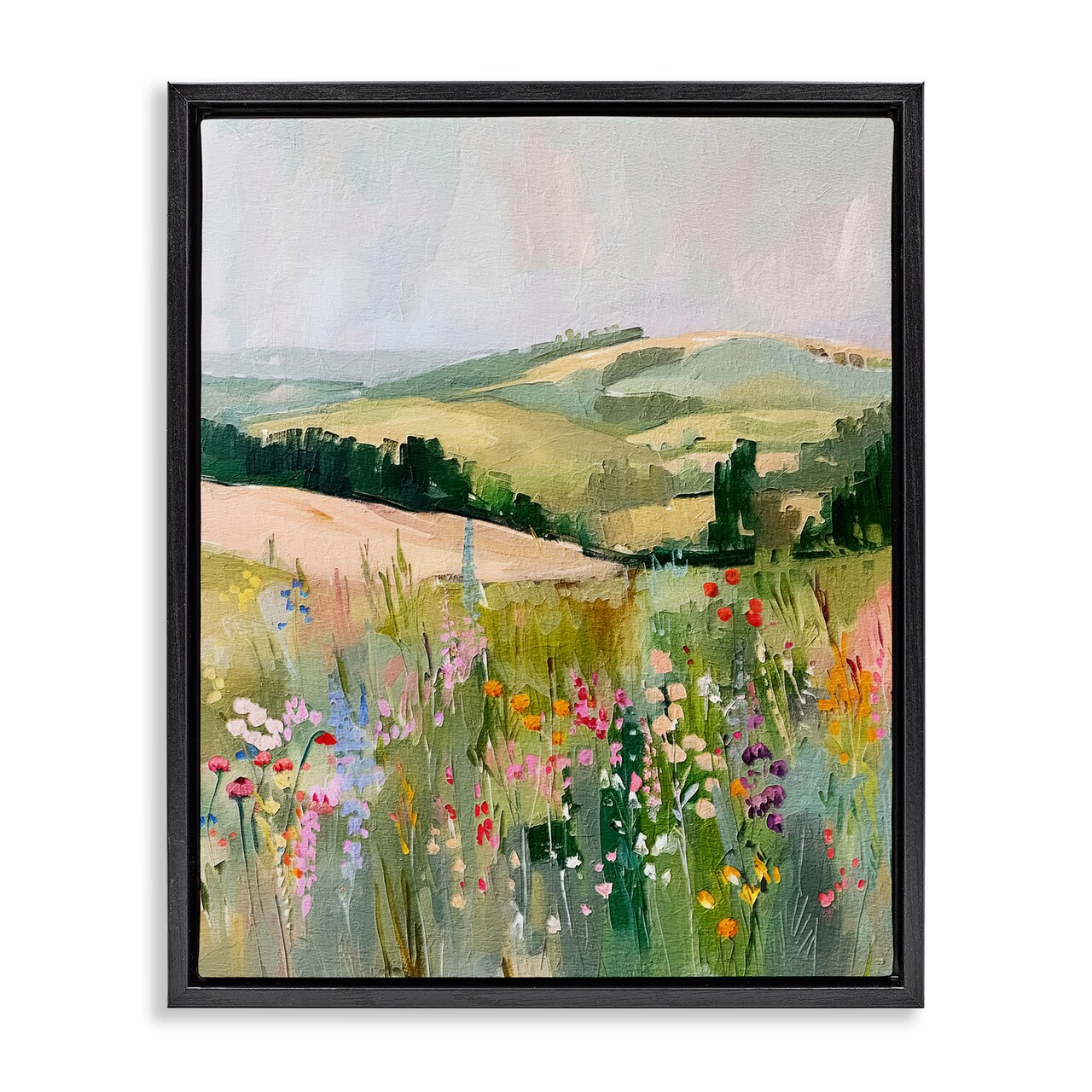 Stupell Industries Pastel Countryside Meadows Floater Framed Canvas Wall Art Design by RileyB